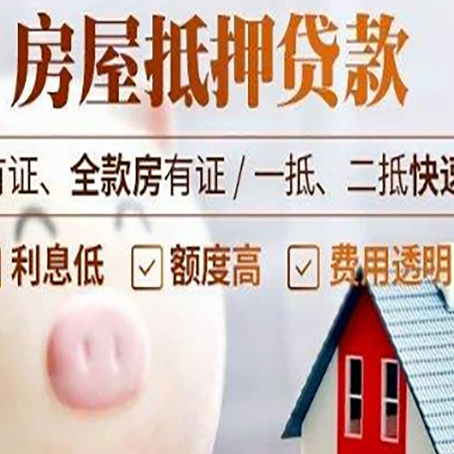 汝南贷款助贷公司新渝启服靠谱公司