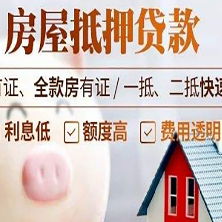 汝南贷款助贷公司新渝启服成立时间久