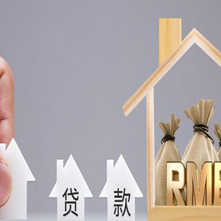 汝南贷款中介公司新渝启服怎么样